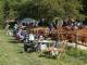 thumbnail 121 --7270.jpg